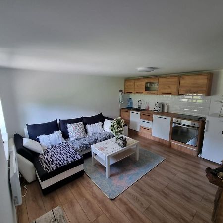 Casa Primitoare In Inima Naturii Si Padurii Rasca  外观 照片