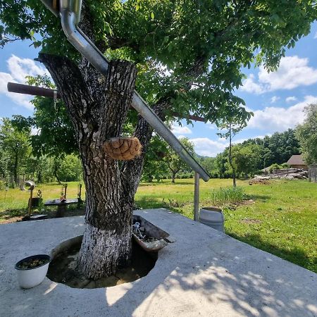 Casa Primitoare In Inima Naturii Si Padurii Rasca  外观 照片