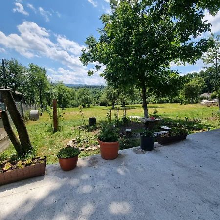 Casa Primitoare In Inima Naturii Si Padurii Rasca  外观 照片