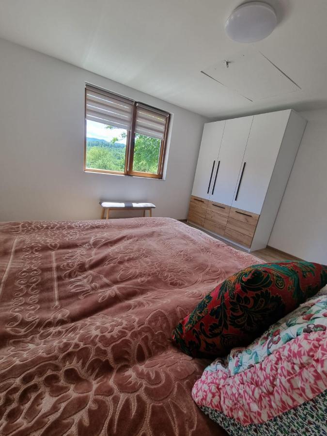 Casa Primitoare In Inima Naturii Si Padurii Rasca  外观 照片