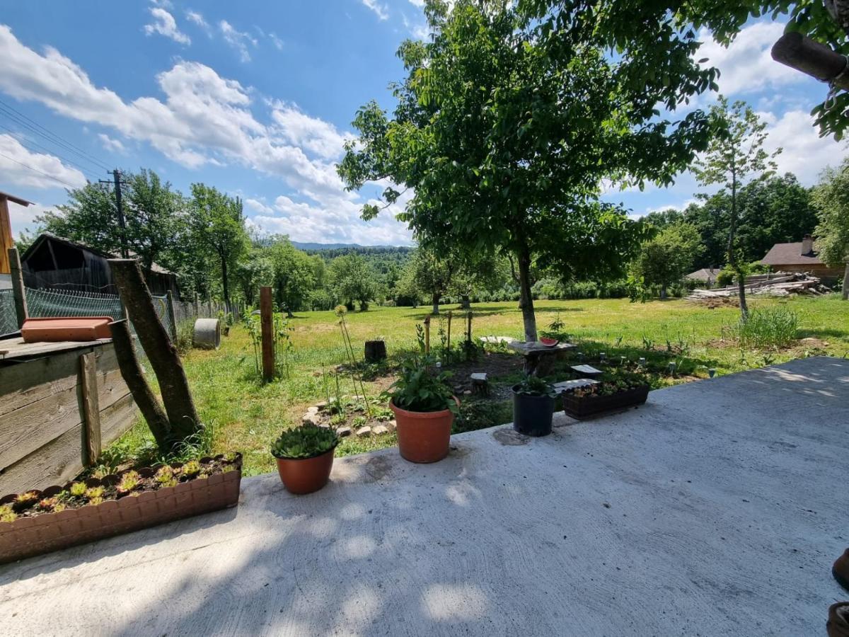 Casa Primitoare In Inima Naturii Si Padurii Rasca  外观 照片