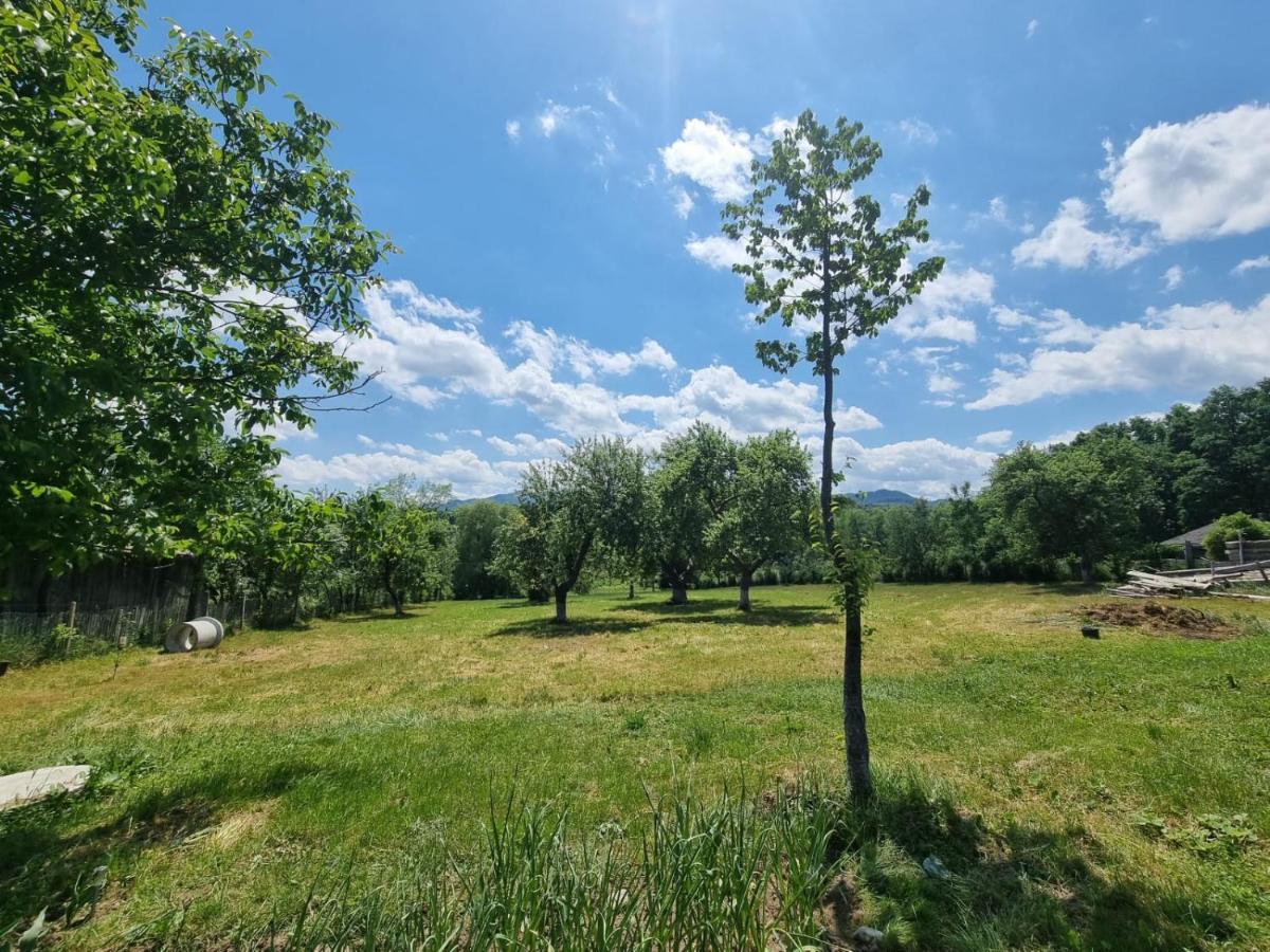 Casa Primitoare In Inima Naturii Si Padurii Rasca  外观 照片